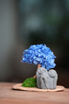 A Small Tree in the East - Blue Dream - Trio of No Evil (Preserved Plants)