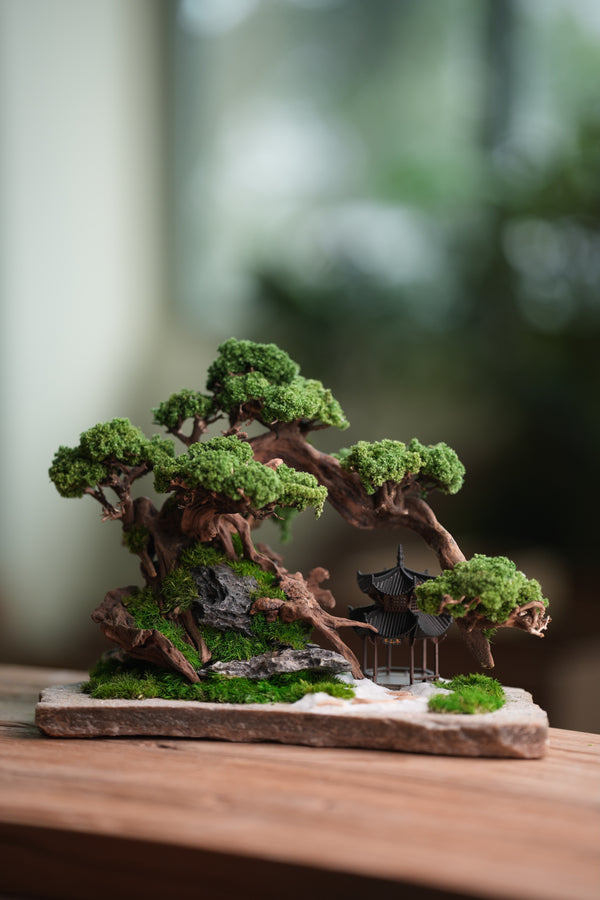 Greenwood - A Path in the East (Preserved Plants)