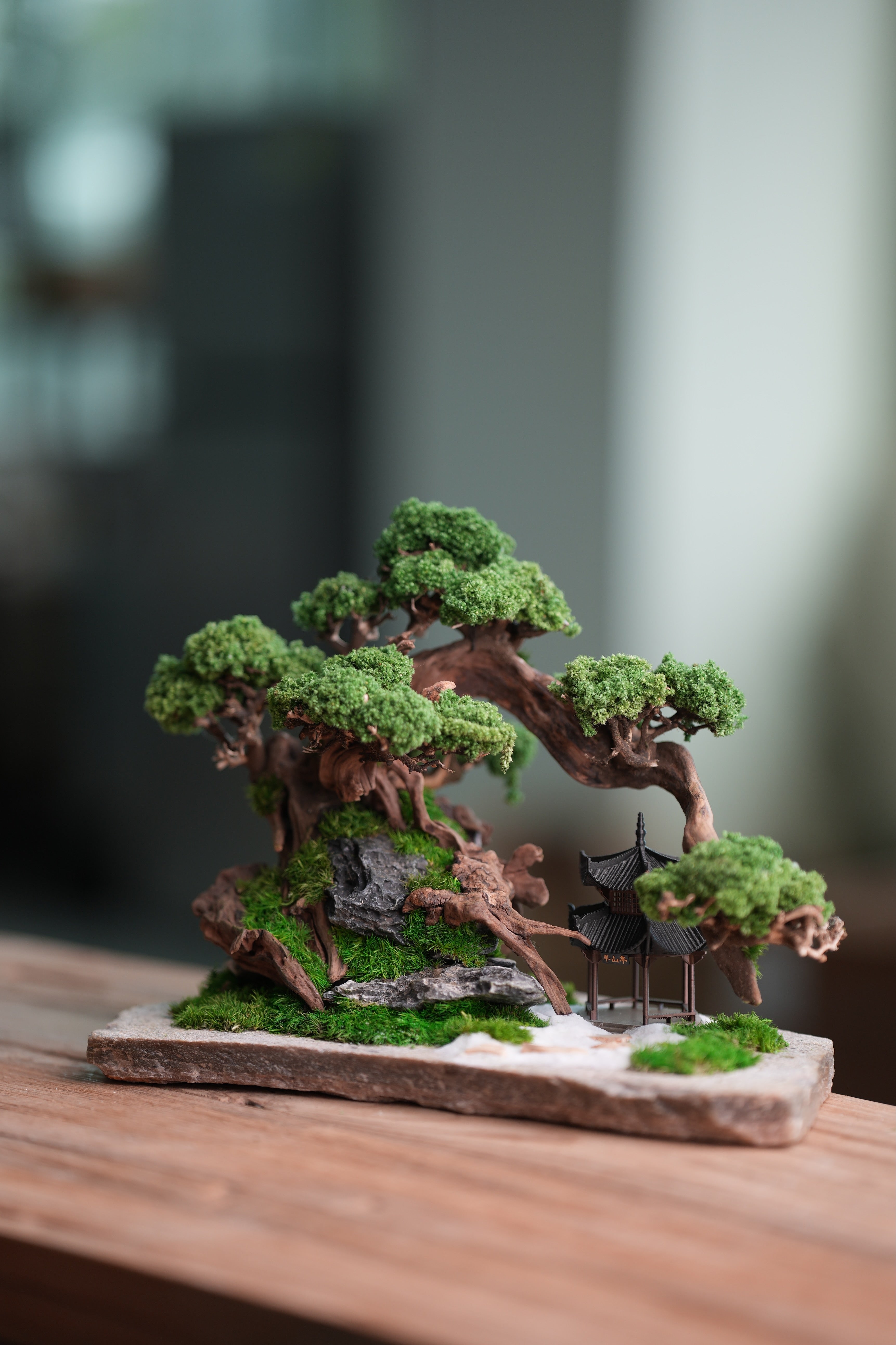 Greenwood - A Path in the East (Preserved Plants)