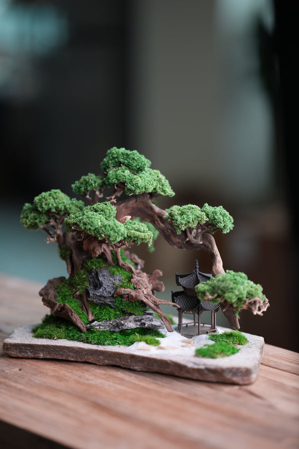 Greenwood - A Path in the East (Preserved Plants)