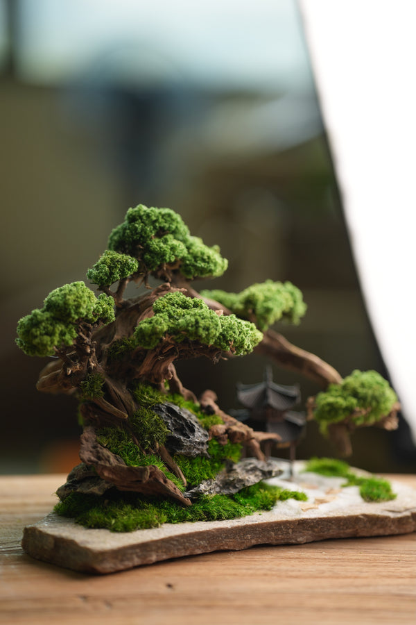 Greenwood - A Path in the East (Preserved Plants)