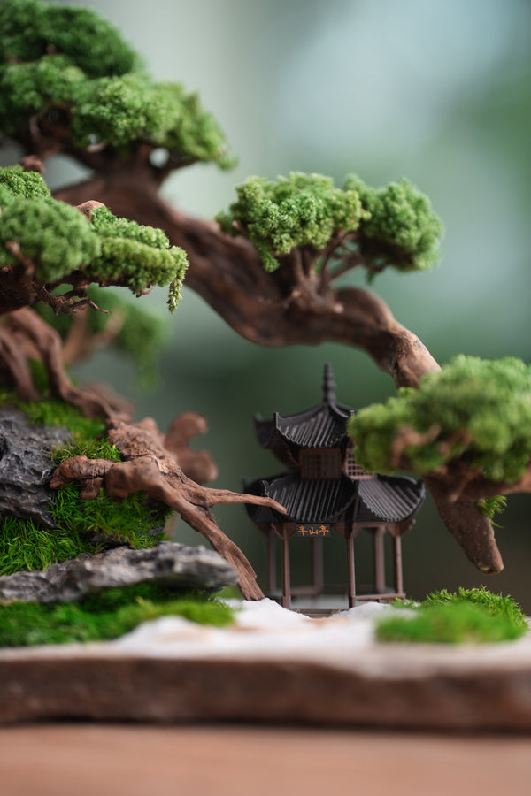 Greenwood - A Path in the East (Preserved Plants)