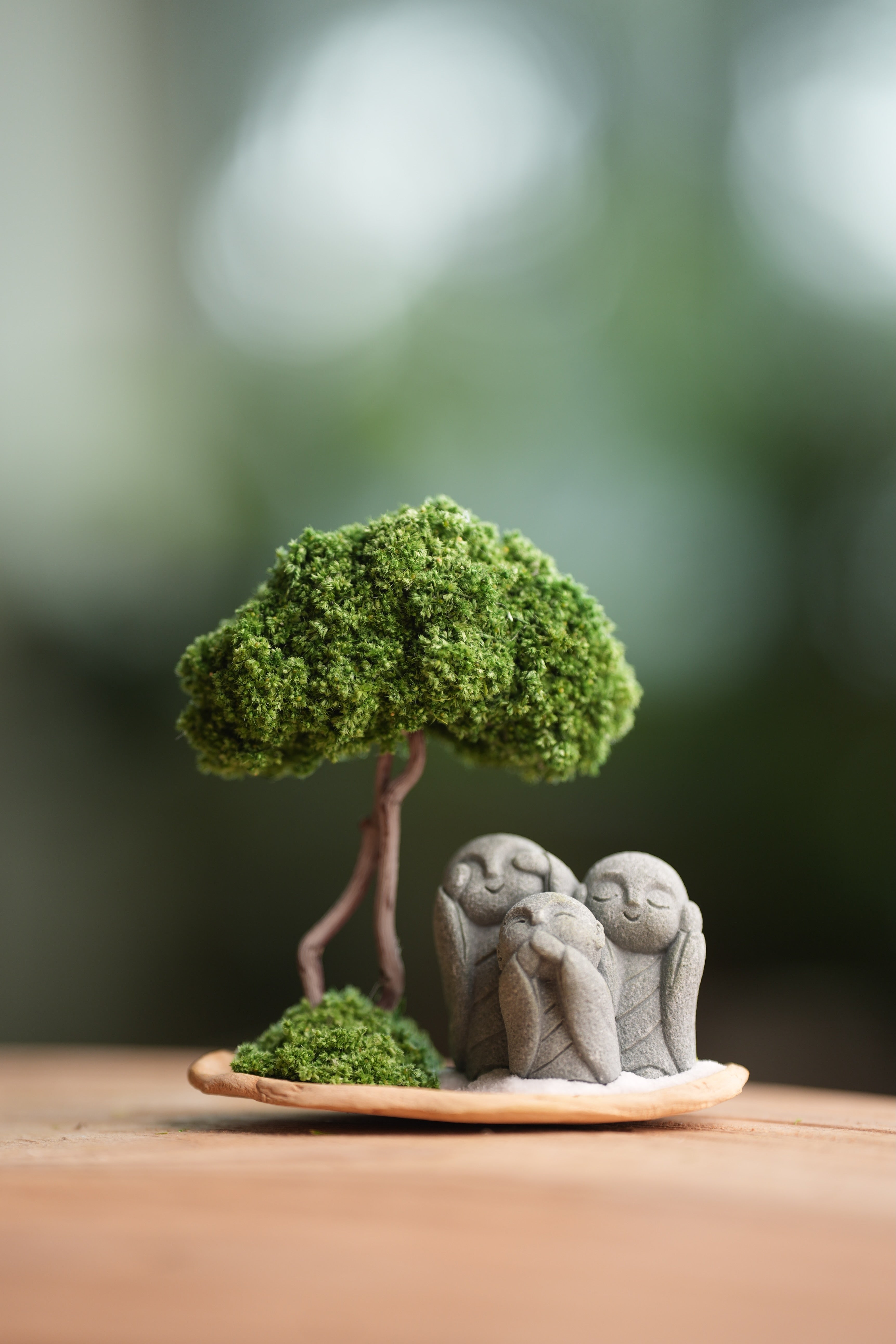 A Small Tree in the East - Classic - Trio of No Evil (Preserved Plants)