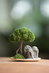 A Small Tree in the East - Classic - Trio of No Evil (Preserved Plants)