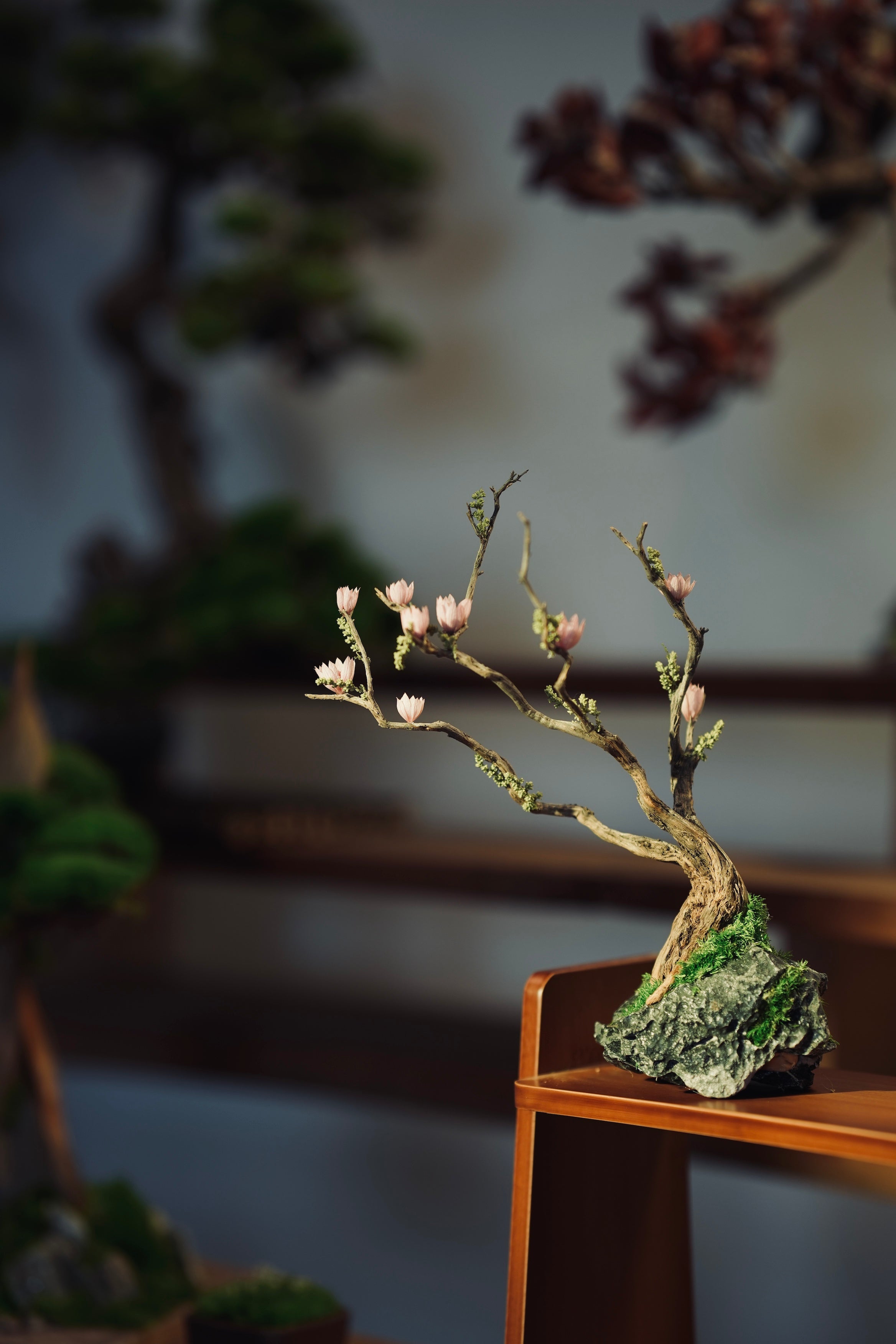 Winter's End (Preserved Plants)