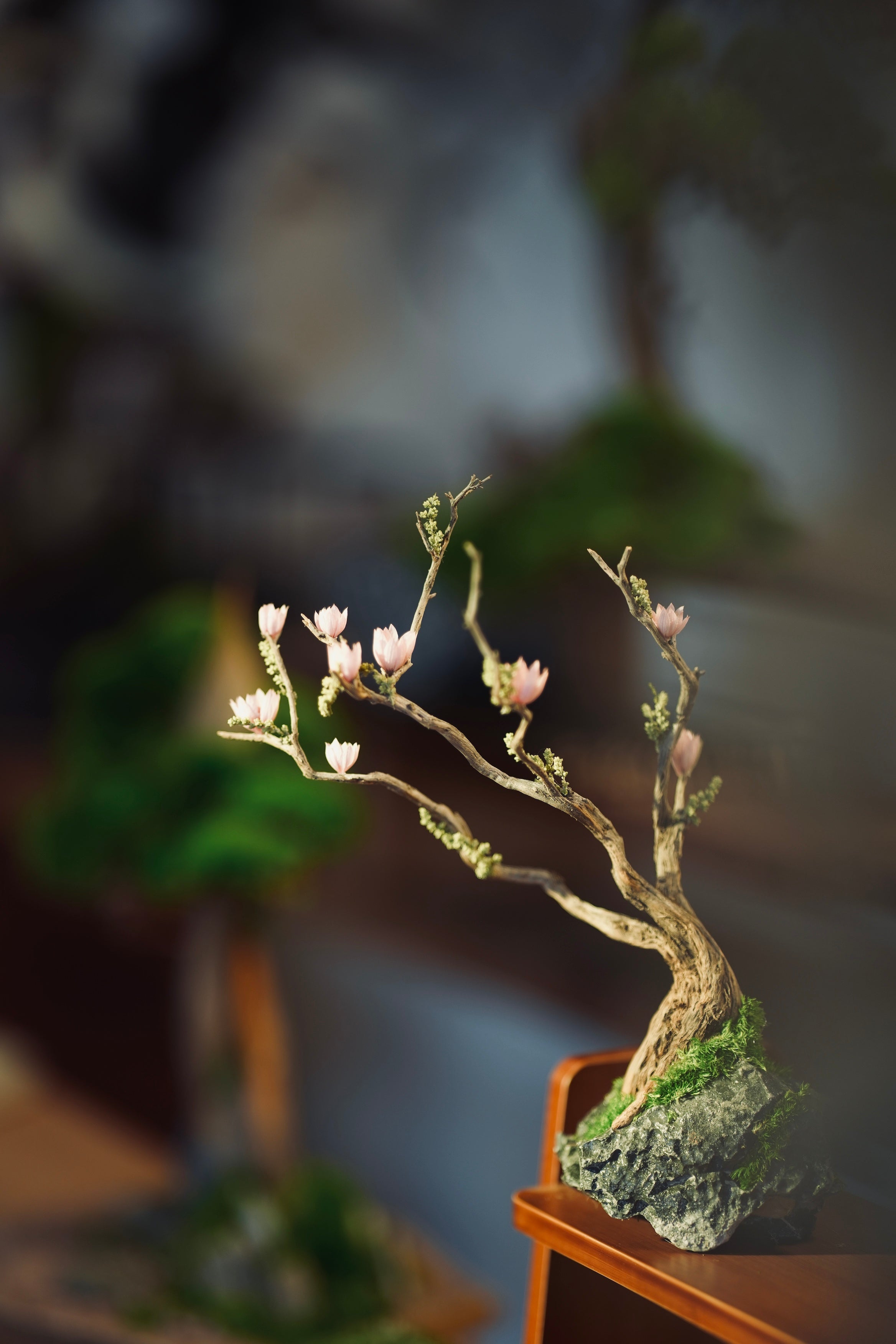 Winter's End (Preserved Plants)