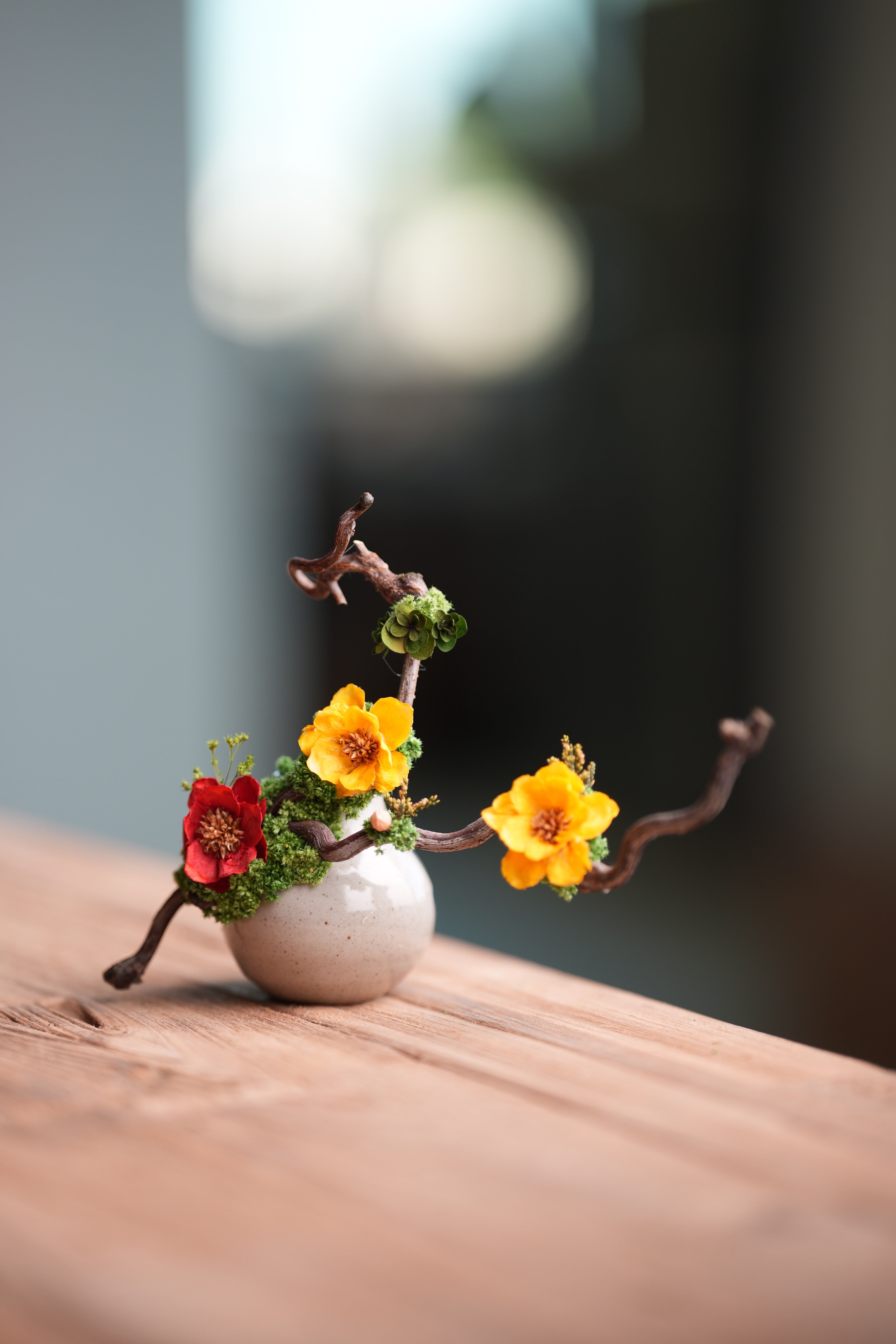 Children of the Forest - Vibrant - Smaller version (Preserved Plants)