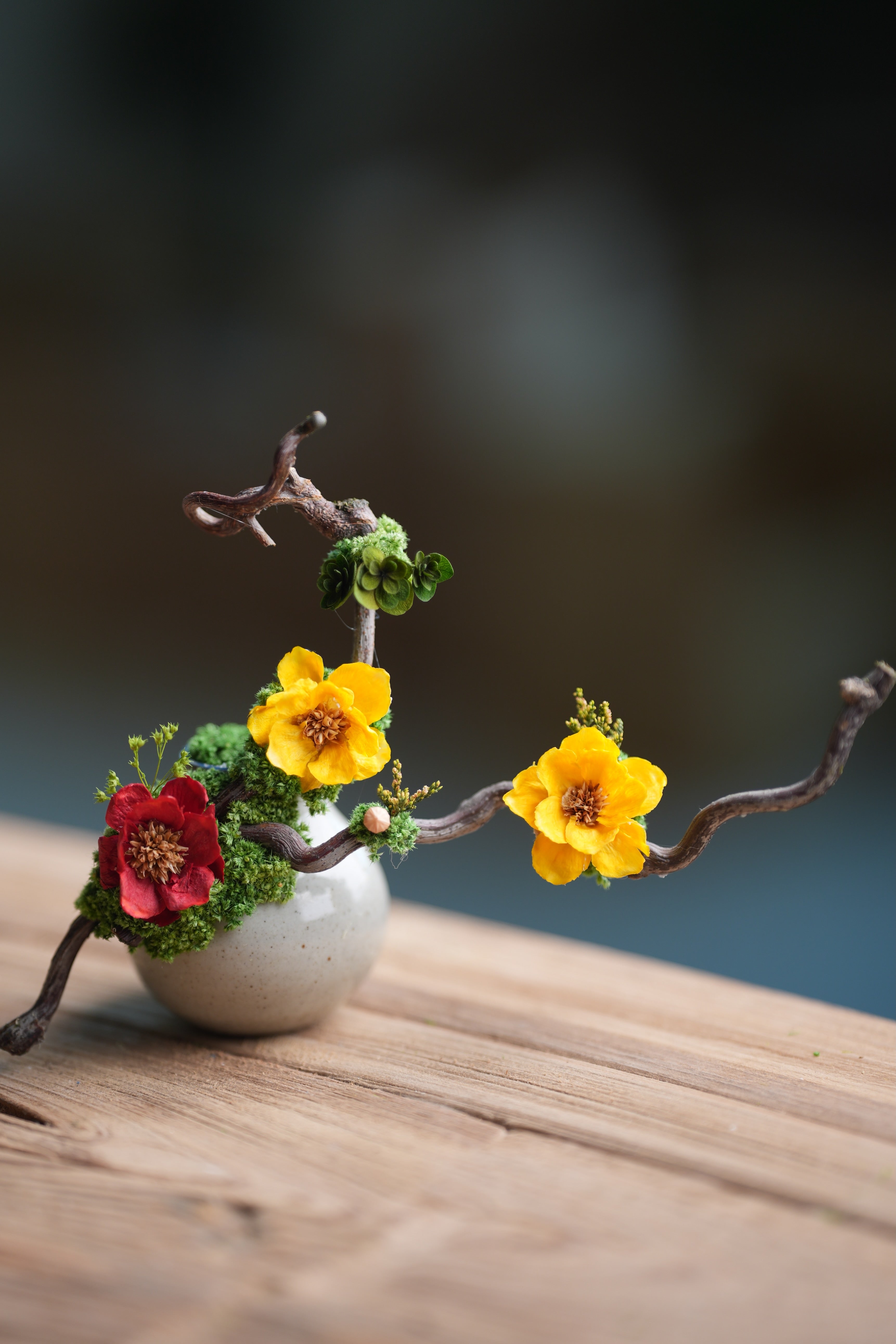 Children of the Forest - Vibrant - Smaller version (Preserved Plants)