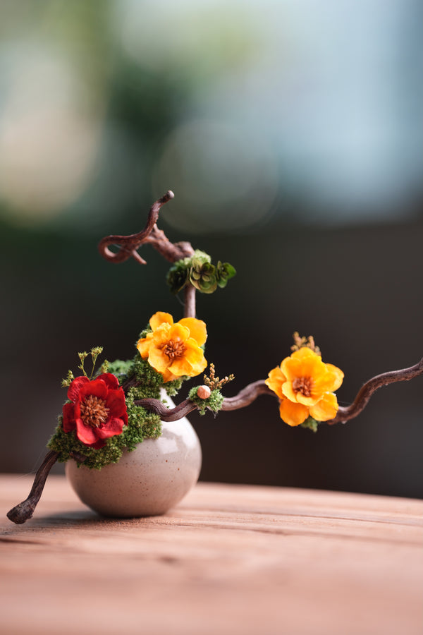 Children of the Forest - Vibrant - Smaller version (Preserved Plants)