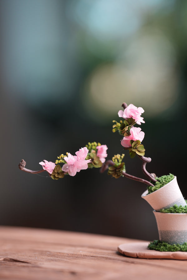 Children of the Forest - The Journey edition (Preserved Plants)