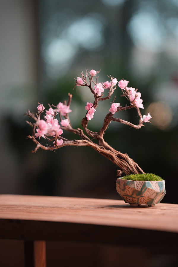 Slow Wood - The Journey (Preserved Plants)