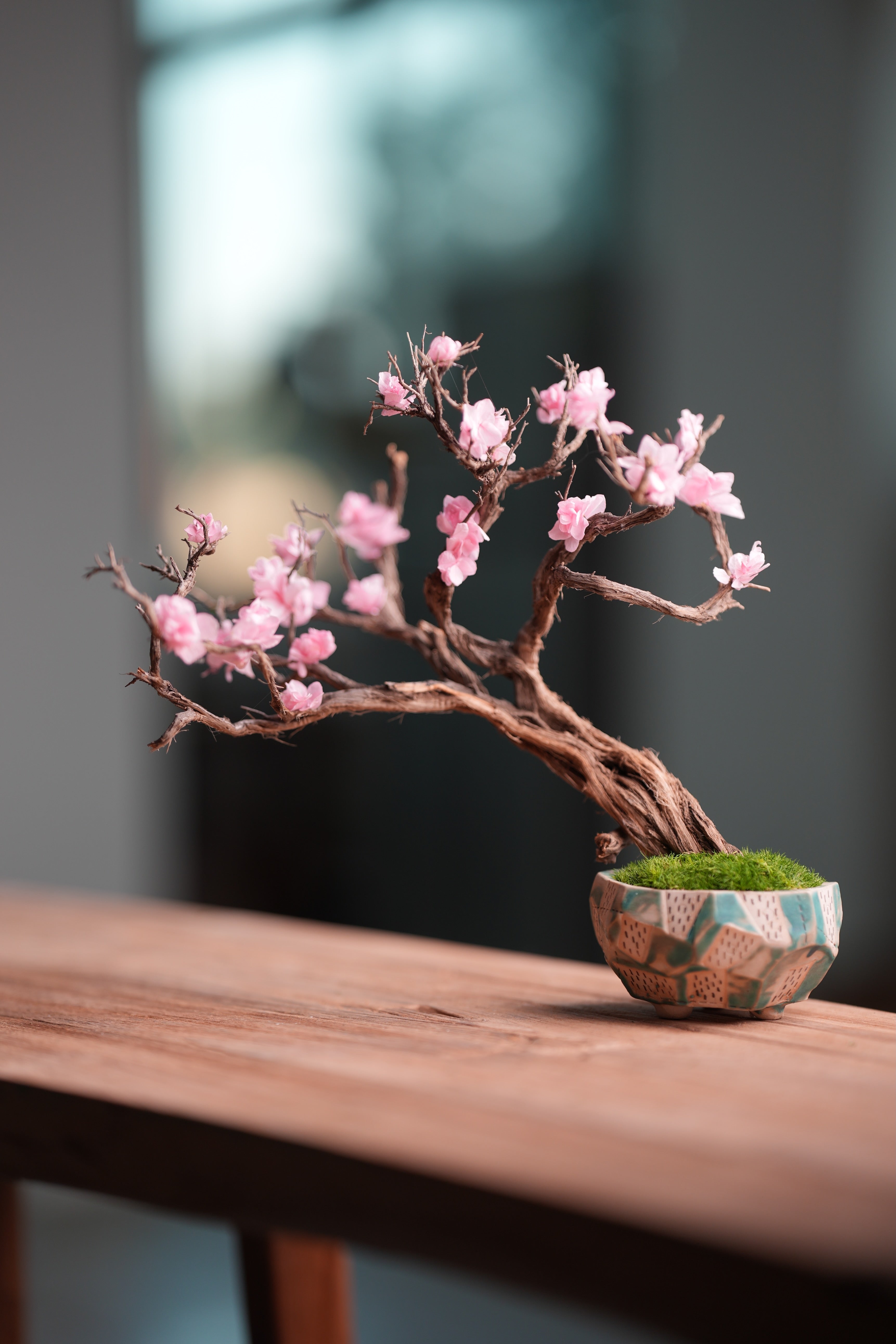 Slow Wood - The Journey (Preserved Plants)