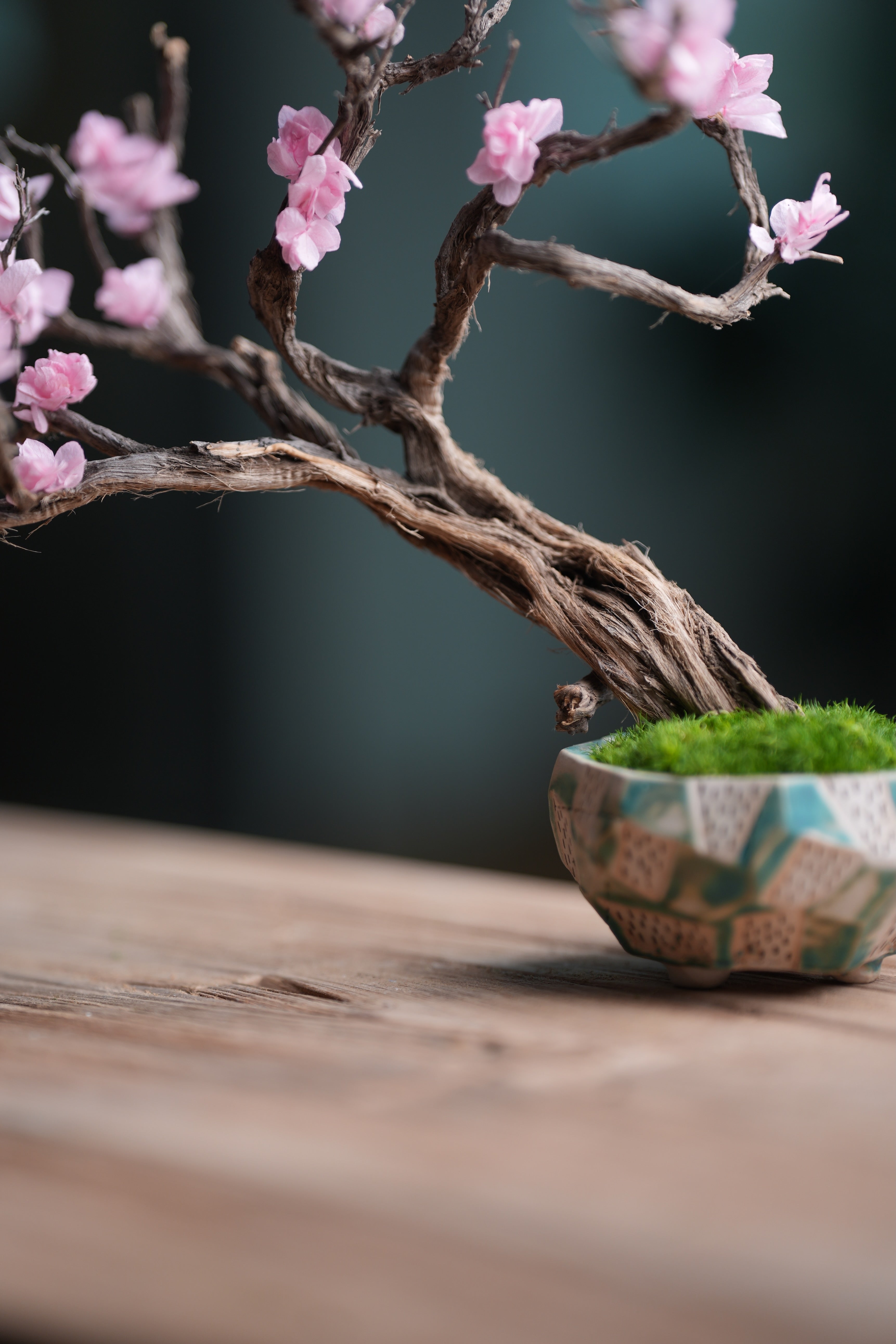 Slow Wood - The Journey (Preserved Plants)