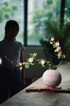 Children of the Forest  (Preserved Plants)