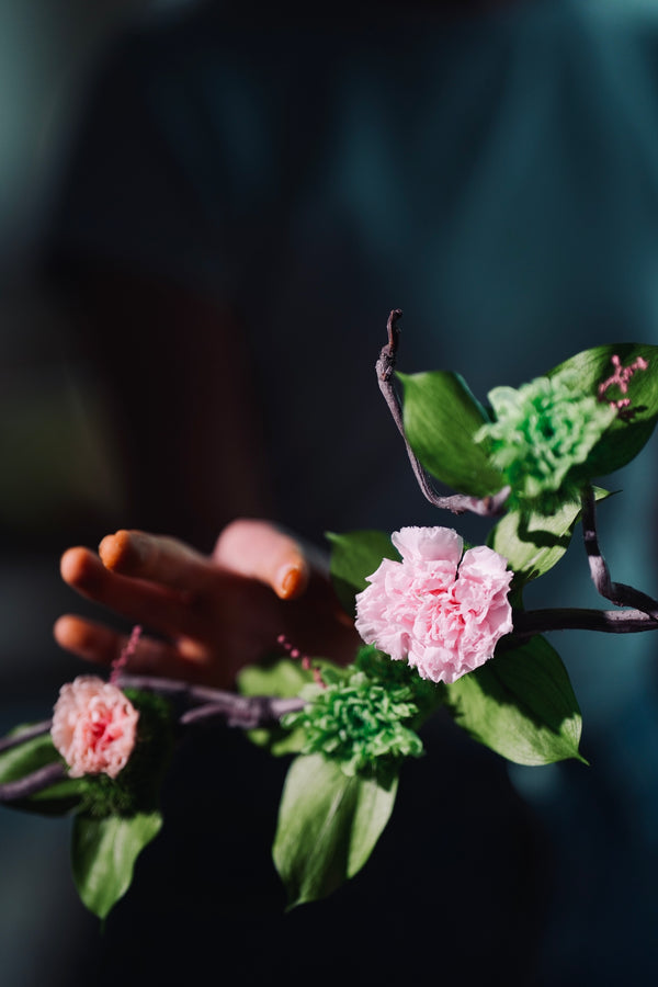 Children of the Forest  (Preserved Plants)