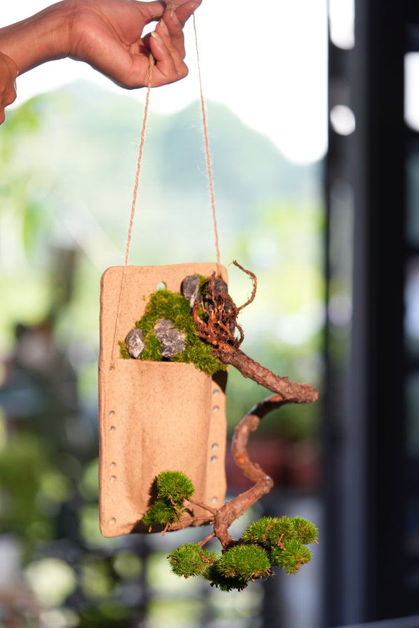 Juniper by the Winding Path - Wall Hanging edition (Preserved Plants)