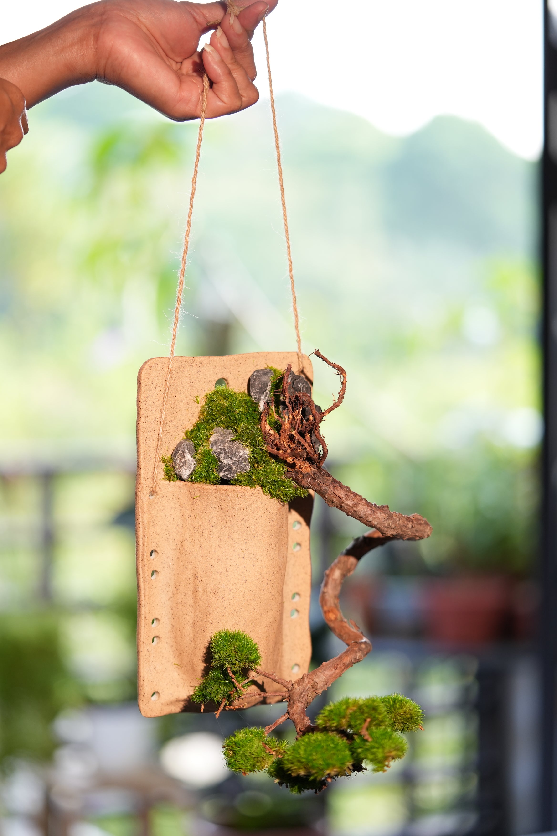 Juniper by the Winding Path - Wall Hanging edition (Preserved Plants)