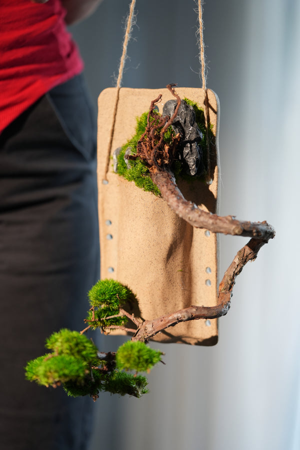 Juniper by the Winding Path - Wall Hanging edition (Preserved Plants)