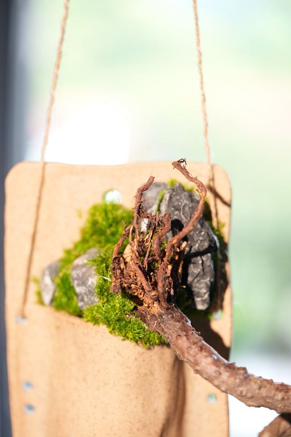 Juniper by the Winding Path - Wall Hanging edition (Preserved Plants)