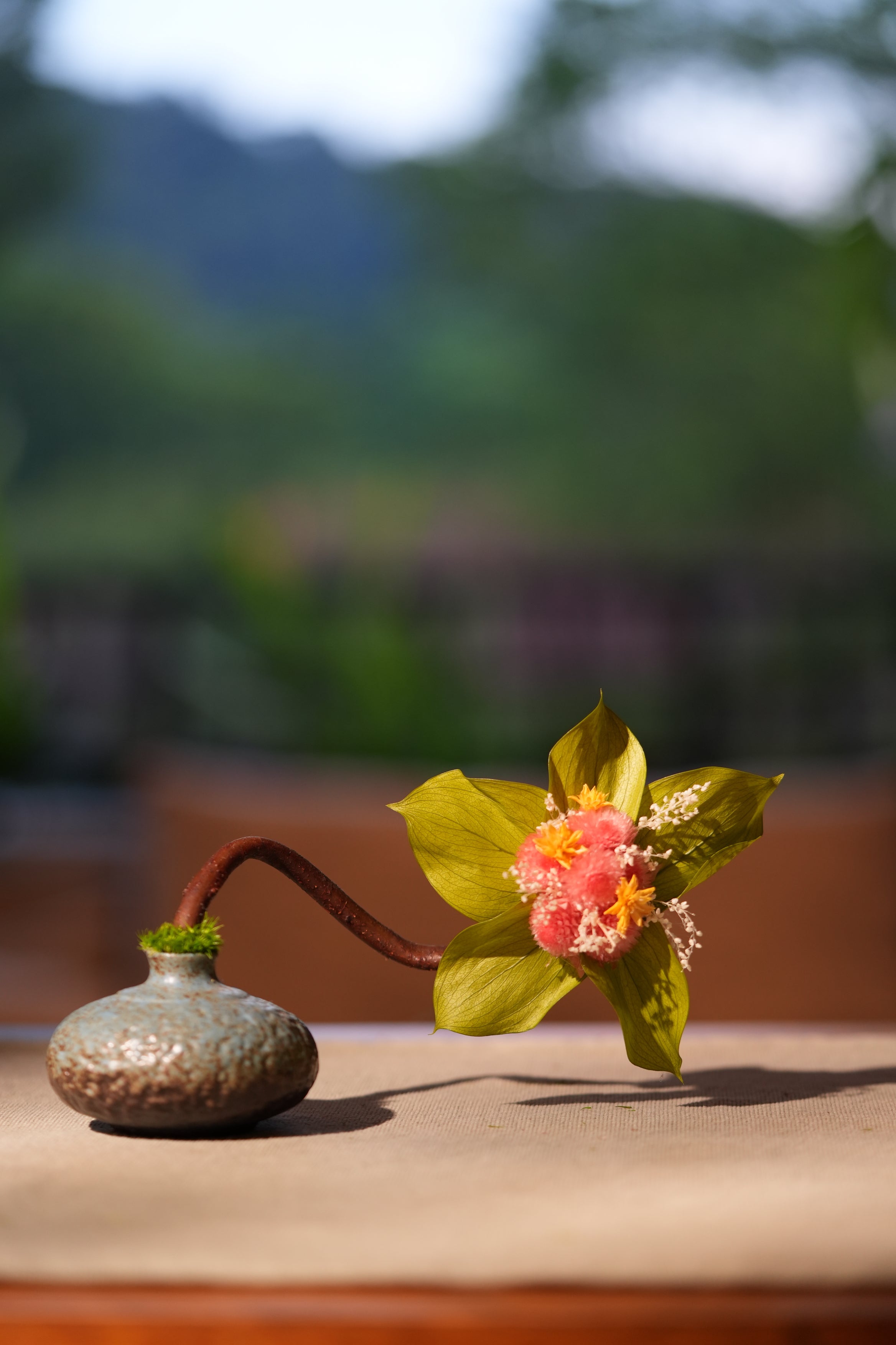 Children of the Forest - Smaller version (Preserved Plants)
