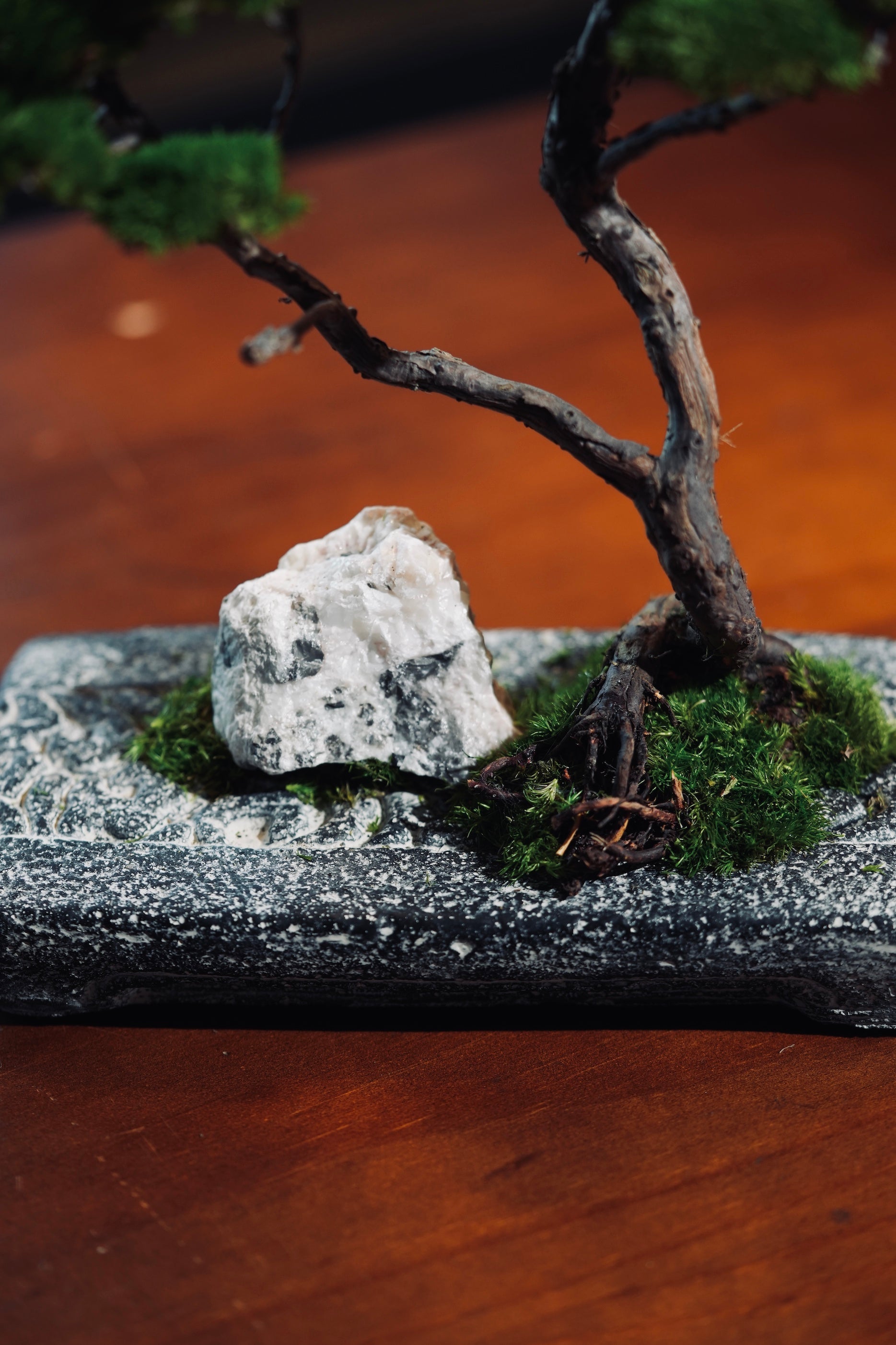 Juniper by the Winding Path - Anchor edition (Preserved Plants)