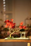 Theatre of Autumn - Flaming Maple (Preserved Plants)