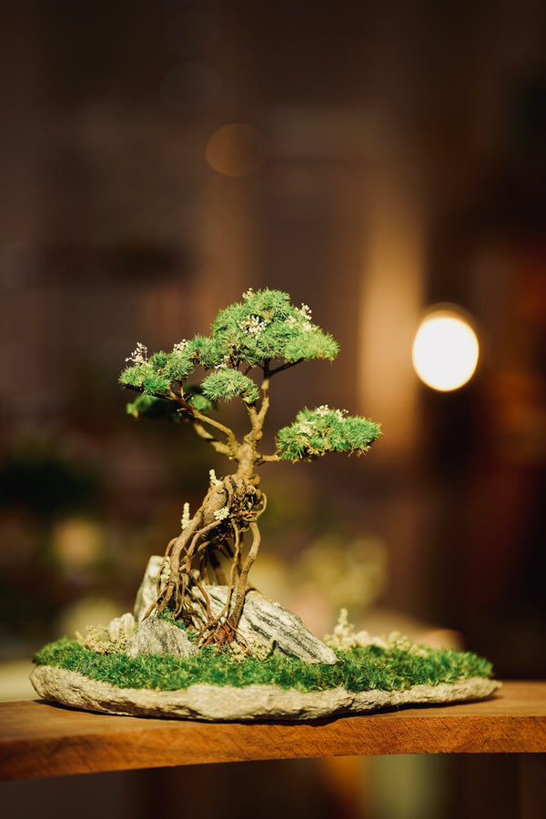 Mistwood - Grace edition (Preserved Plants)