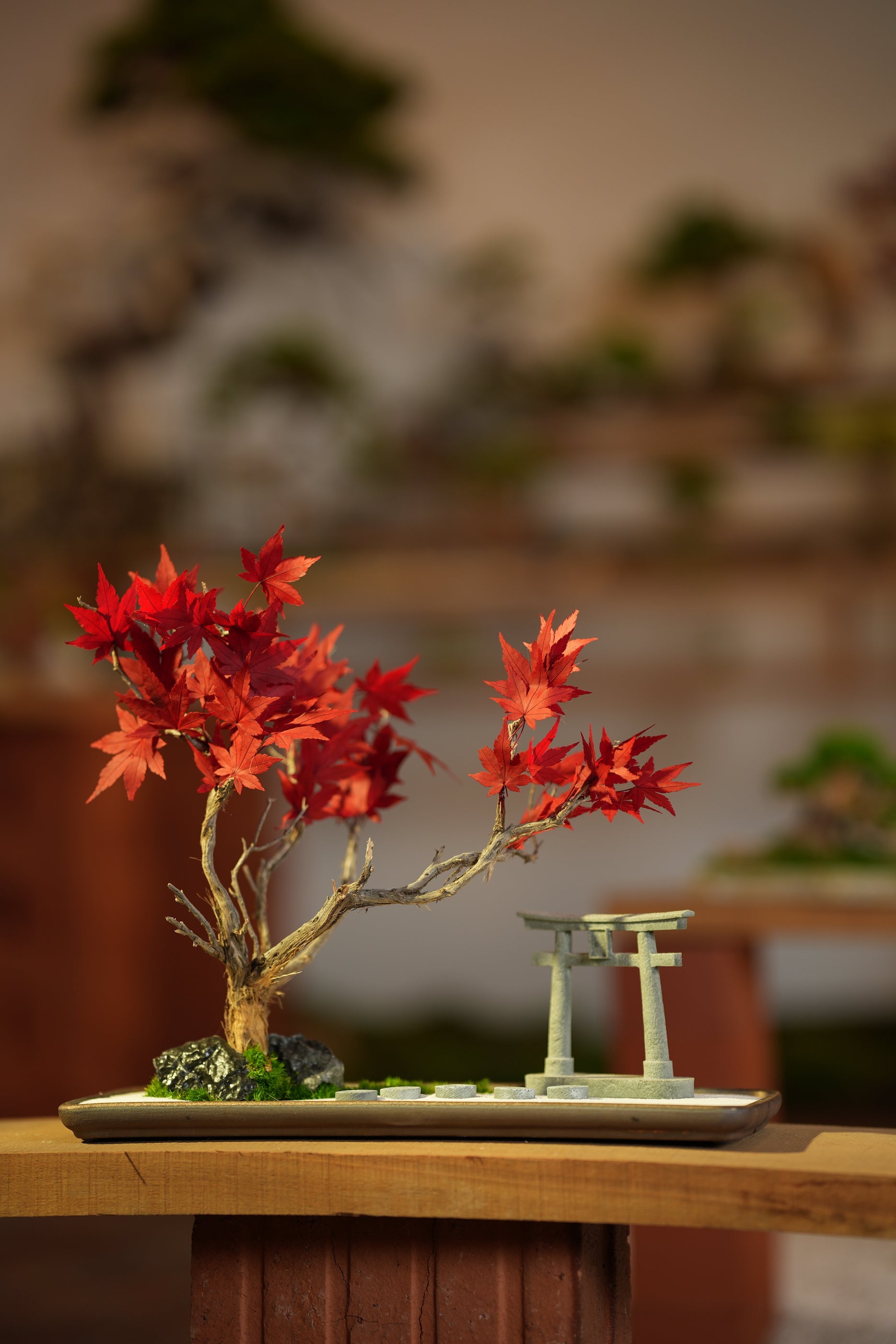Theatre of Autumn - Flaming Maple (Preserved Plants)