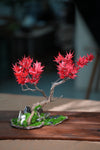 Theatre of Autumn - Flaming Maple - Larger version (Preserved Plants)