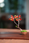 Slow Wood - The Journey - Teen Petals edition (Preserved Plants)