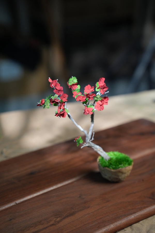 Slow Wood - The Journey - Teen Petals edition (Preserved Plants)