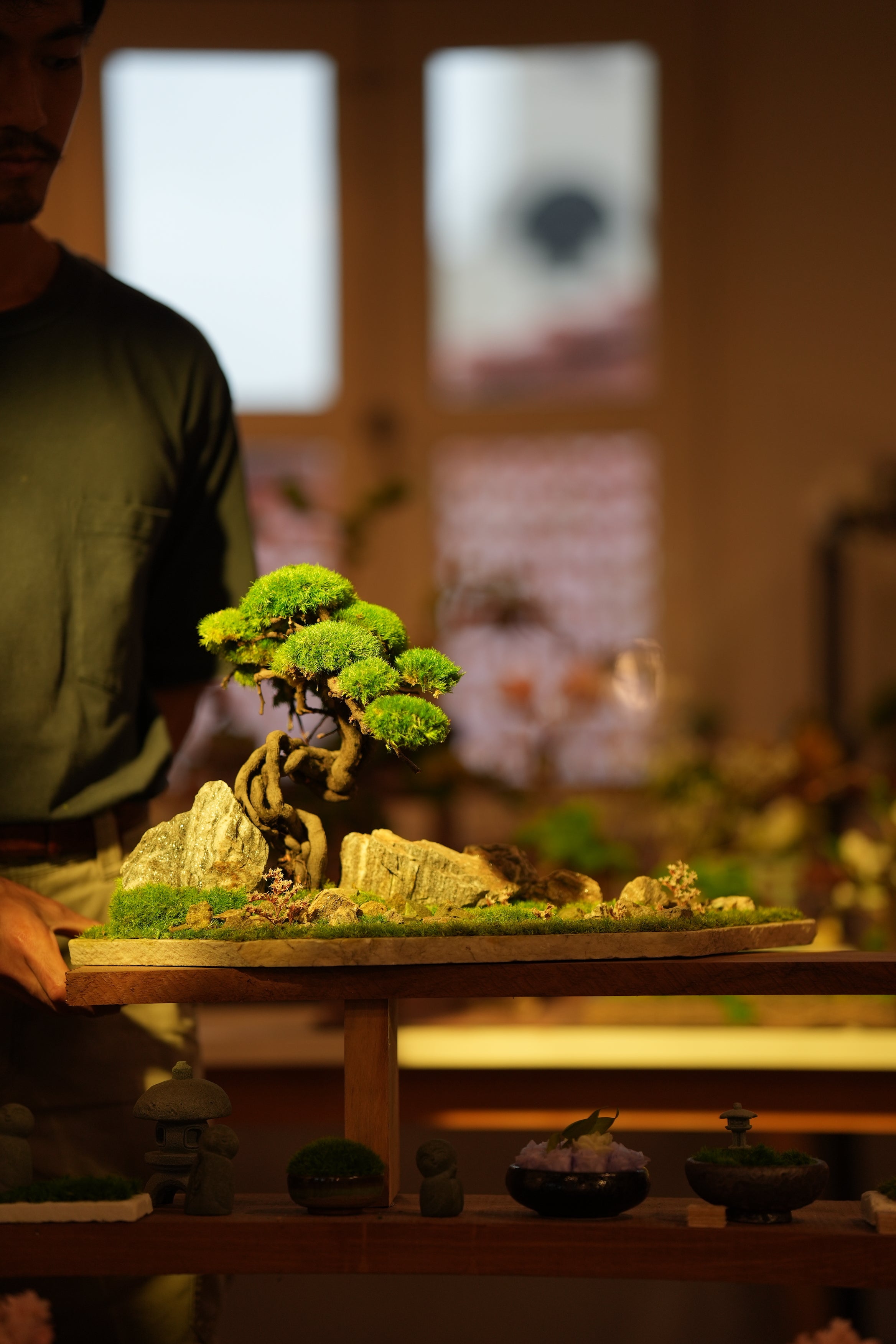 Emerald Hill (Preserved Plants)