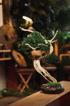 The Windcut Wood - Lone Pine edition (Preserved Plants)