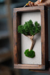 A Small Tree in the East - Wall Hanging edition (Preserved Plants)