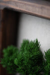 A Small Tree in the East - Wall Hanging edition (Preserved Plants)