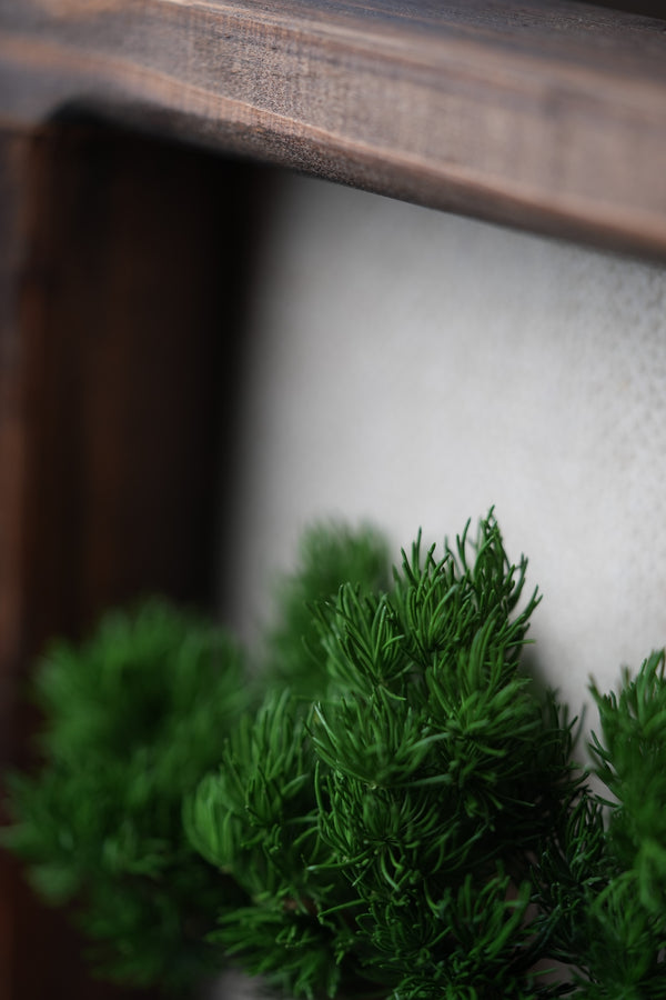 A Small Tree in the East - Wall Hanging edition (Preserved Plants)