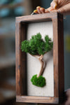 A Small Tree in the East - Wall Hanging edition (Preserved Plants)