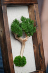 A Small Tree in the East - Wall Hanging edition (Preserved Plants)