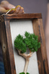 A Small Tree in the East - Wall Hanging edition (Preserved Plants)