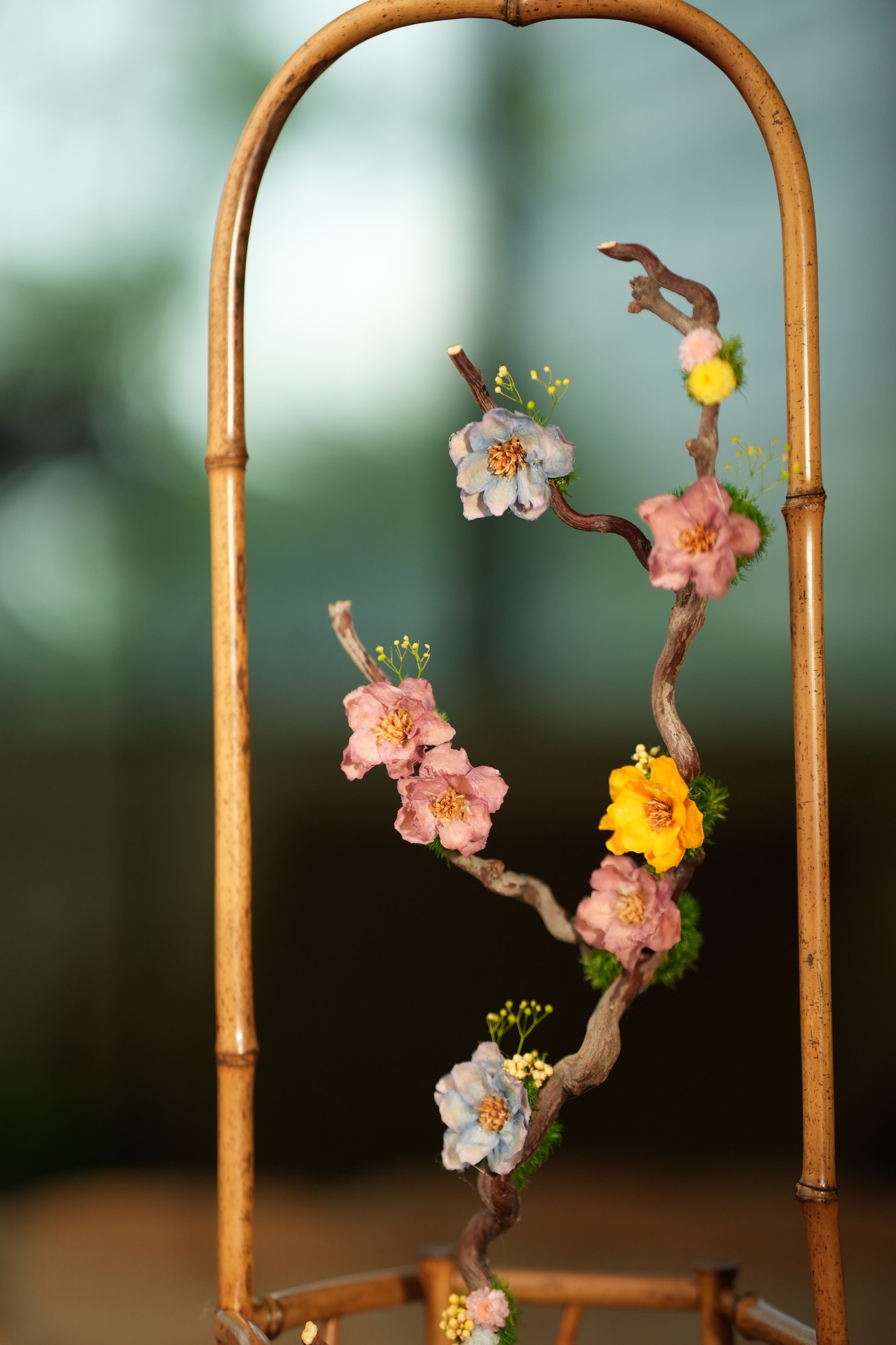 Children of Forest - Dawn (Preserved Plants)