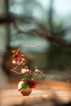 Children of the Forest - Grace (Preserved Plants)