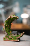 Half-Moon Bay - Crescent (Preserved Plants)