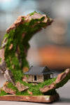 Half-Moon Bay - Crescent (Preserved Plants)