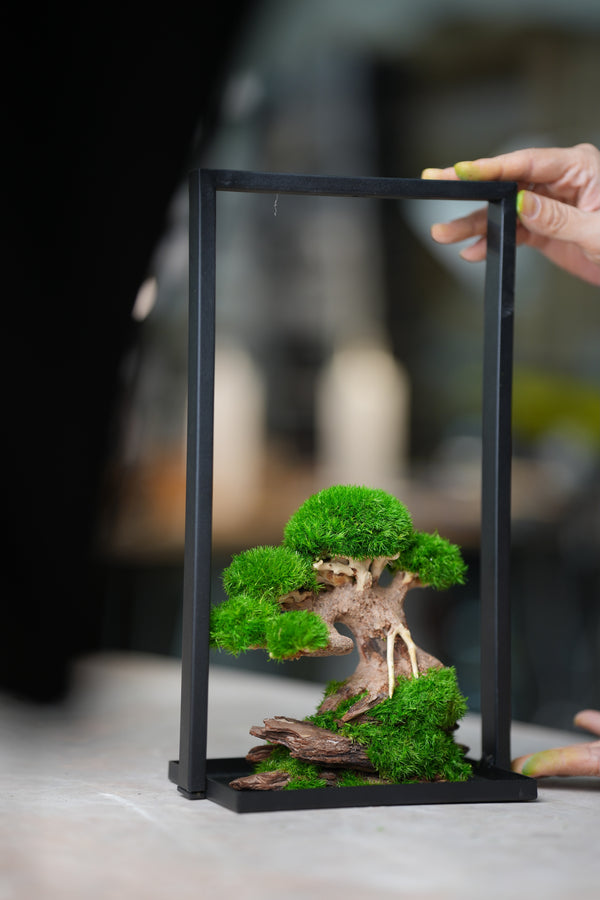 Slow Wood - Young - Metal Stand edition (Preserved Plants)