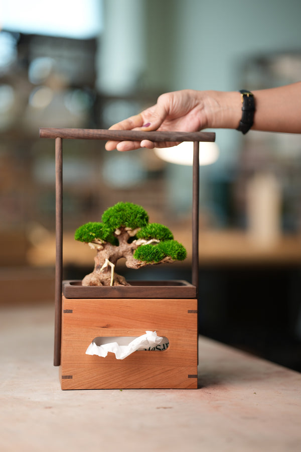 Display Wooden Tissue Box (Accessories)