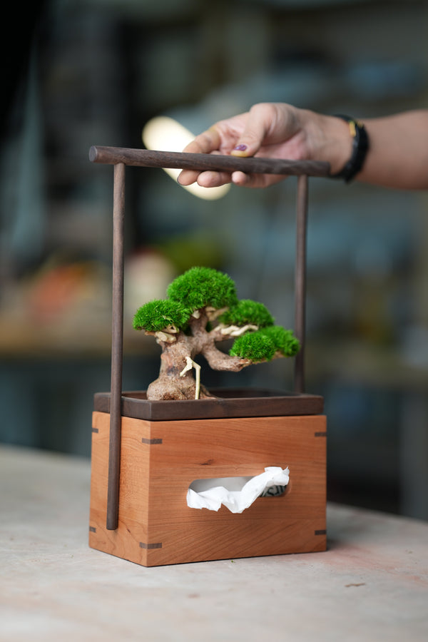 Display Wooden Tissue Box (Accessories)