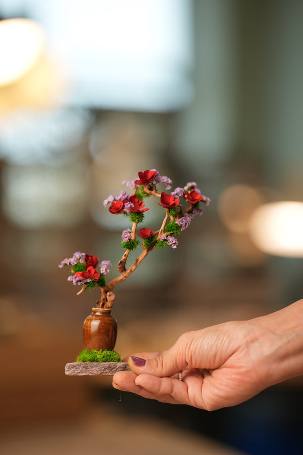 A Small Tree in the East - Star Blossom (Preserved Plants)