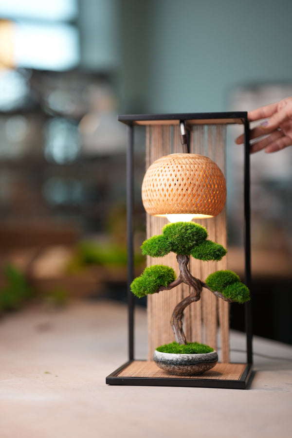 Display Light Stand (Accessories)