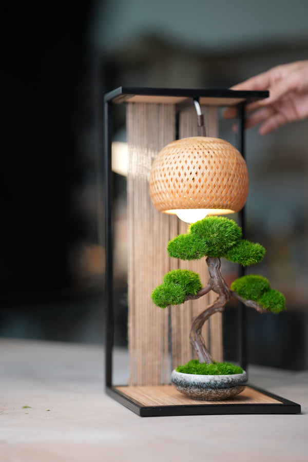 Rosewood (Preserved Plants)