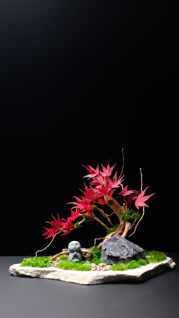 Journeyman in the East - Maple Wood (Preserved Plants)